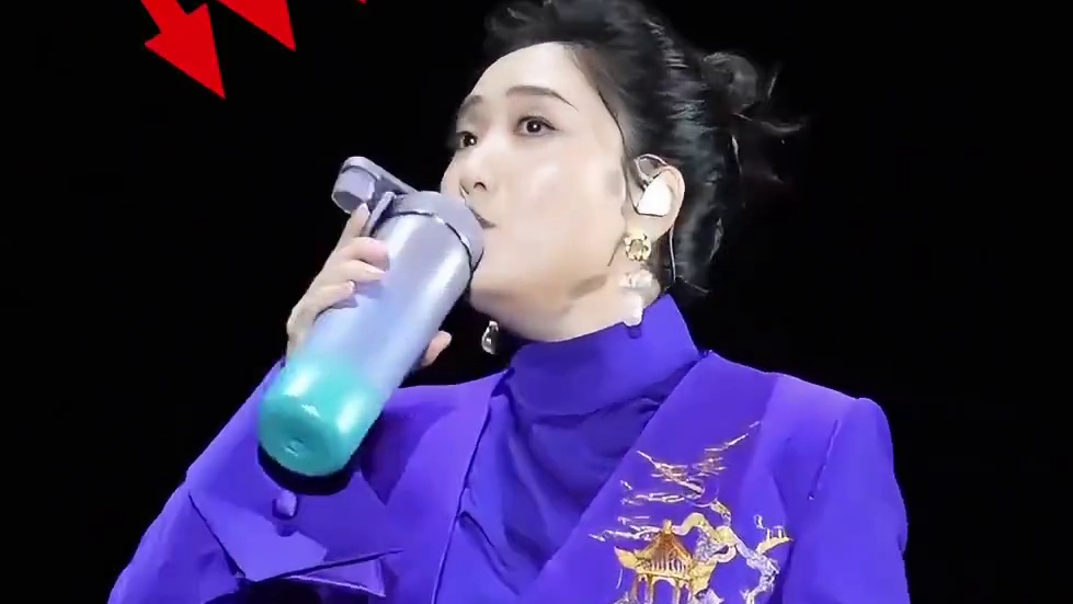 明星演唱会和主办方斗智斗勇，玲花只喝保温杯水，谢霆锋全是无包装#玲花 #谢霆锋 #娱乐评论大赏 #内