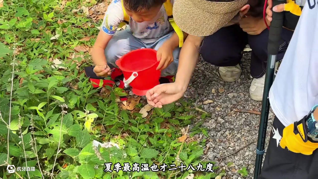 泰安文旅这么好玩的地方你不推荐真是糊涂啊❗ 药乡徒步遛娃玩水打卡绿野仙踪详细攻略～#泉城自驾 #旅行