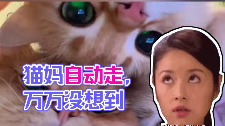 猫妈：想要自己生！！ #猫咪 #娱乐评论大赏 #流浪猫 #万万没想到