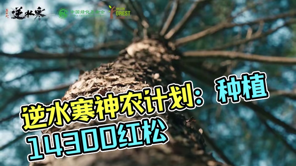 【逆水寒x中国绿化基金会】为未来，种下14300棵红松！ 神农计划正式启动第二弹！ #逆水寒手游  