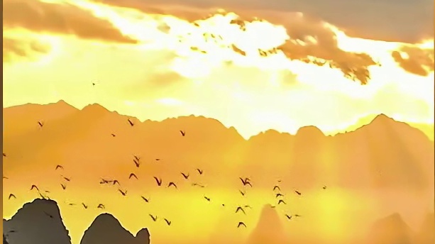 小王战胜白塞的经历