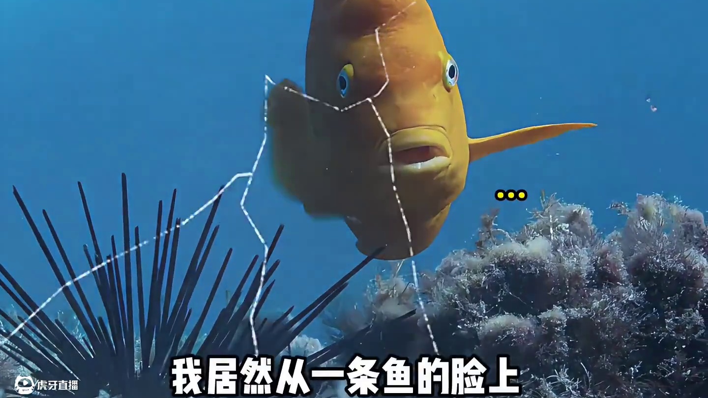 第一次在鱼的脸上看到震惊的表情