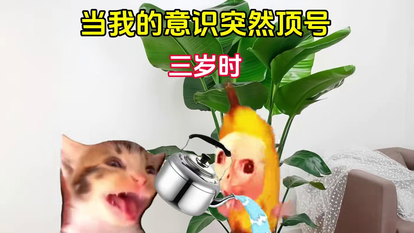 儿时记忆悄然浮现脑海