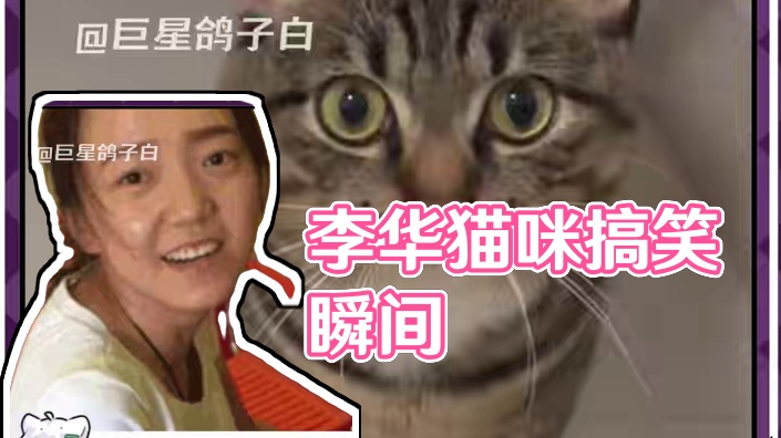 原来李华是只猫 #猫咪 #李华 #萌宠