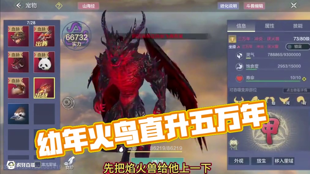 为了给大家看个乐呵 他专门搞了个幼年最稀有火鸟直升五万年！ 这我不能再说他是大冤种了！#妄想山海#元