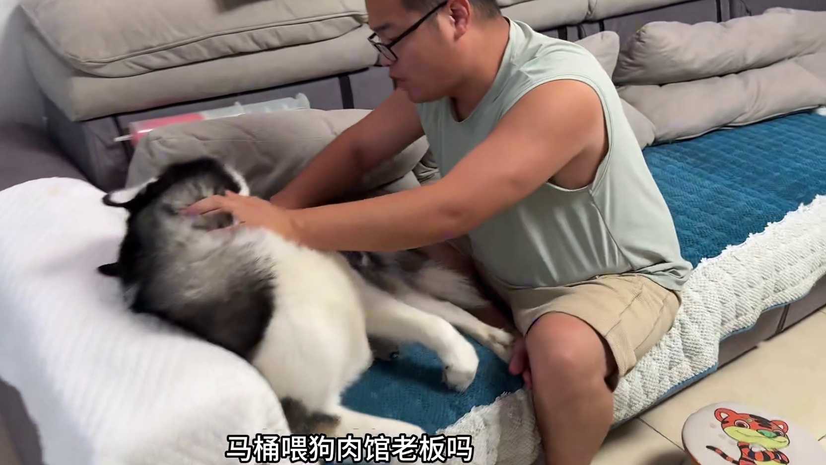 二哈死活不让梳毛还龇牙咬人，一说去狗肉馆，立马变身乖宝宝 #二哈 #哈士奇 #宠物 #萌宠 #神奇动