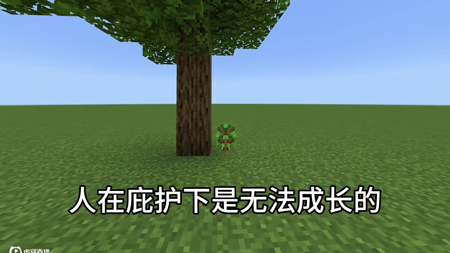 #我的世界 #道理 MC教会了我们什么？#MC #mc不灭