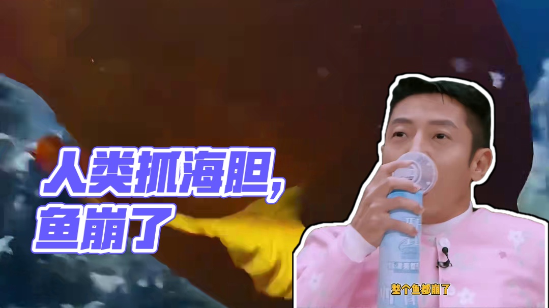 雀鲷：带网的人类是好人，带叉的人类是坏人#雀鲷#海胆#冷知识 #娱乐评论大赏