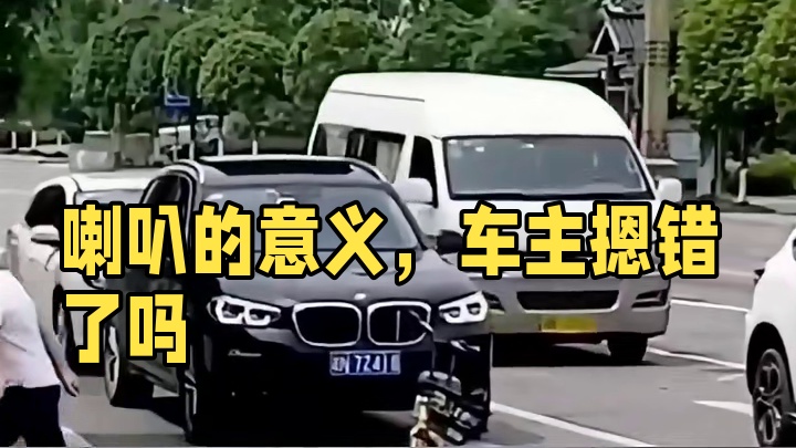 按喇叭的意义何在