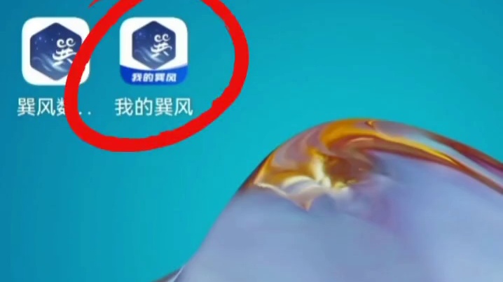 巽风开服#巽风 #茅台