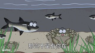 魚蟹共養(yǎng)水質(zhì)好 #三農(nóng)養(yǎng)殖 #有趣的知識又增長了 #原創(chuàng)動畫 #新農(nóng)人 #鄉(xiāng)村守護人