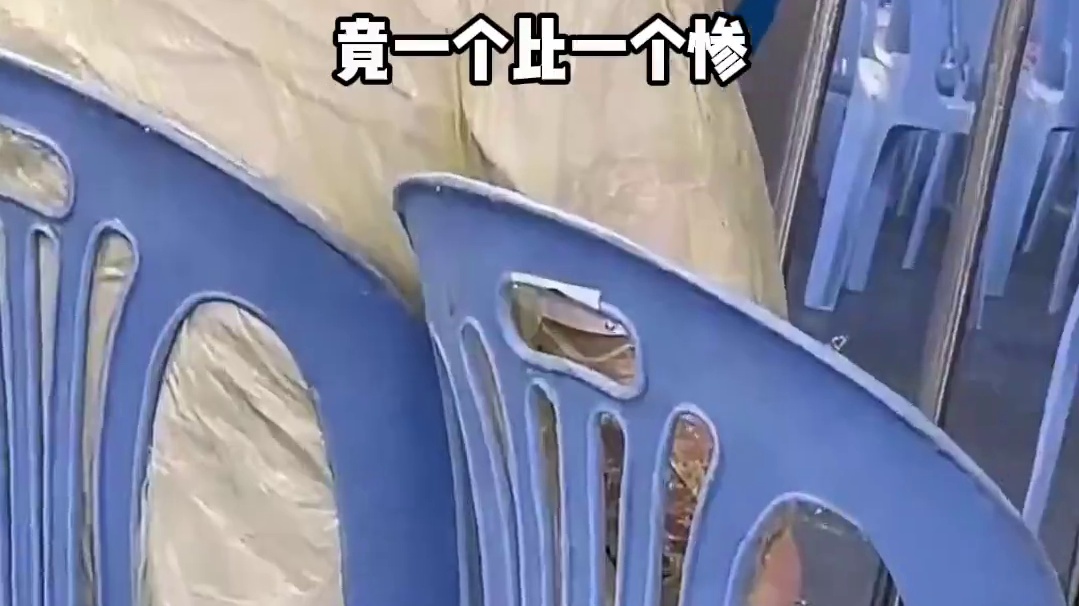 抓拍镜头下明星遇极端天气能有多社死？邓紫棋头纱糊脸，赵露思冻到发抖#赵露思 
#邓紫棋 #杨紫  #