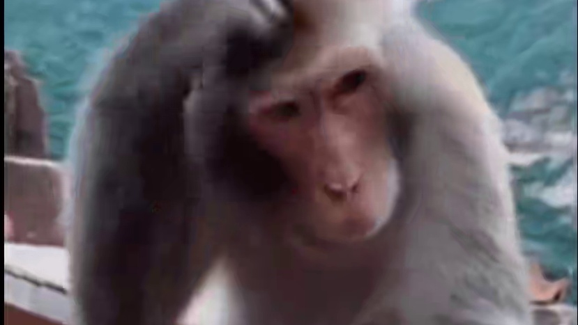 原来历朝官服也有刻板印象 #娱乐评论大赏 #官服 #刻板印象 #僵尸