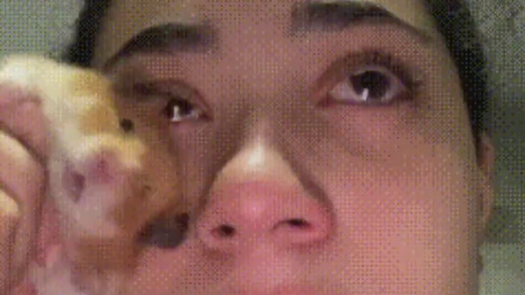 工作哪里找的？