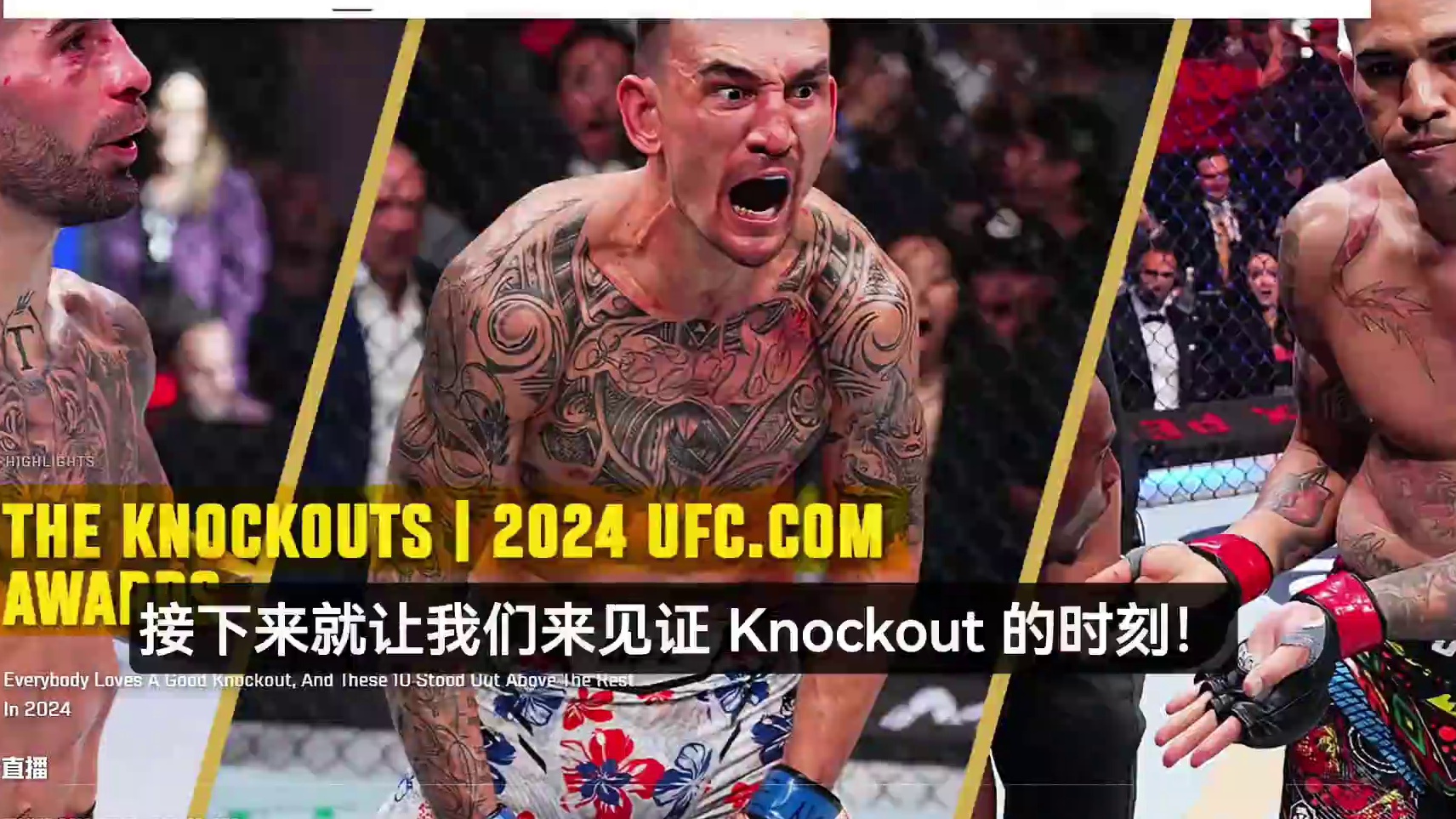 UFC2024年十大最佳KO 石铭KO冯萧灿成功上榜|乐川Fight #ufc #ufc石铭 #乐川