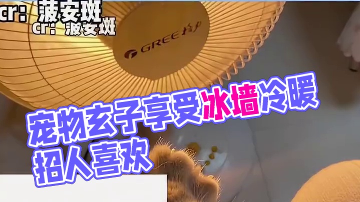 喜欢就是连呼吸都是恩赐