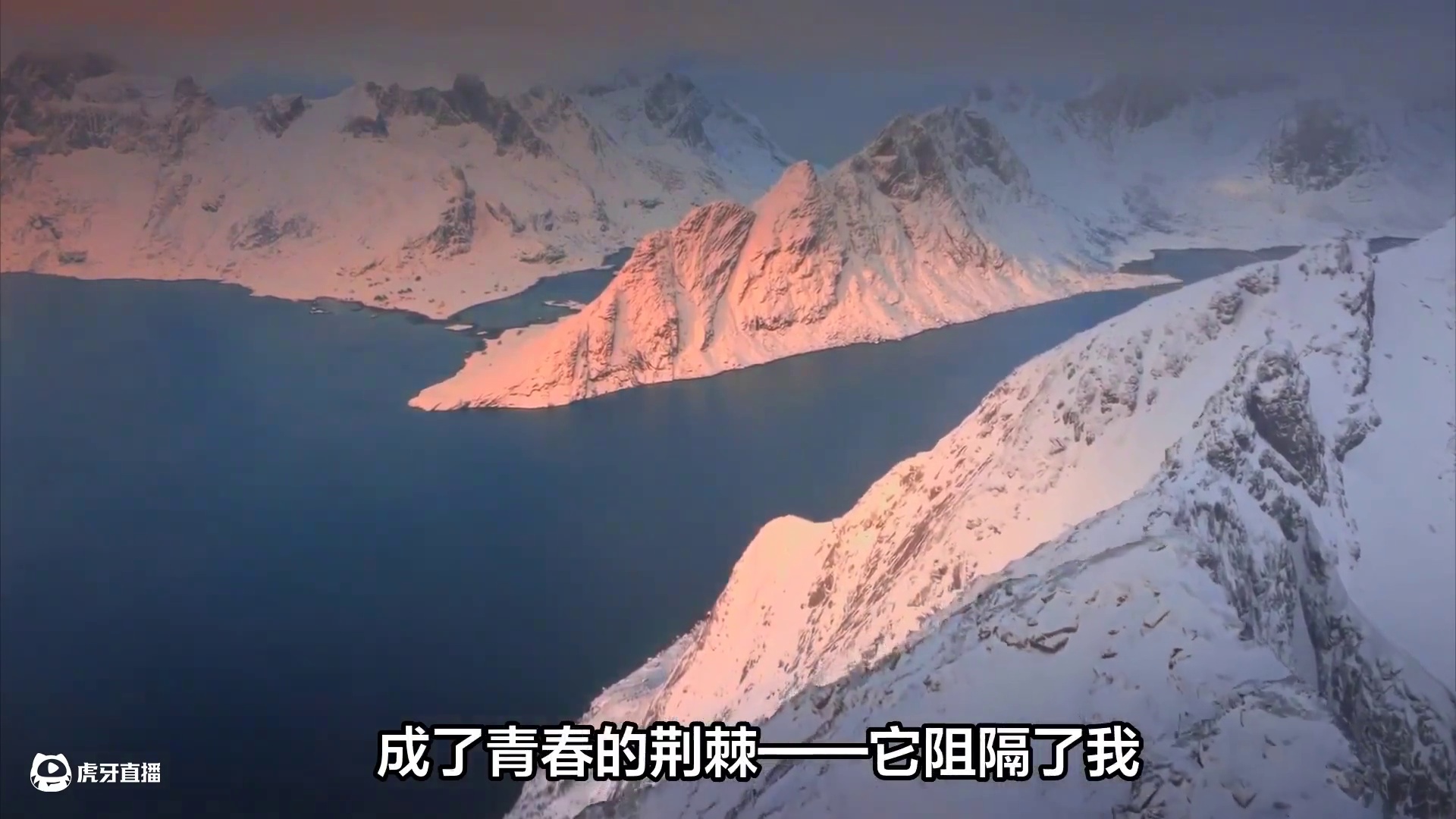 十年抗焦虑历程：如何在心理与哲学的探索中找到内心安宁