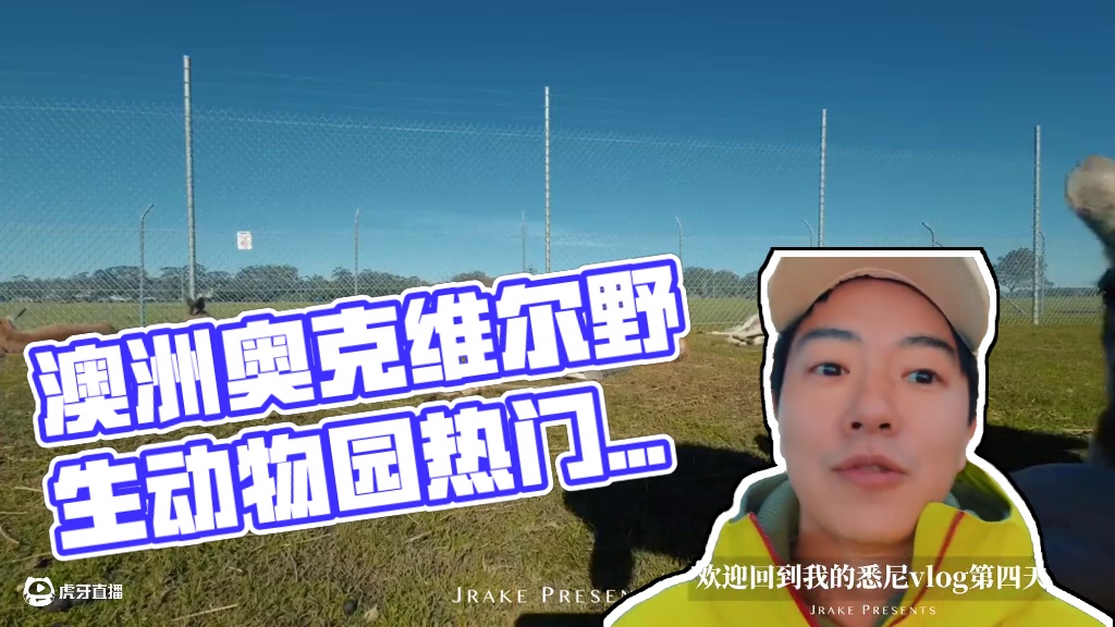 澳大利亚观光客必去的动物一顿rua!!!!｜Jrake｜ 第四天行程清單：
史蒂芬斯港（Port S