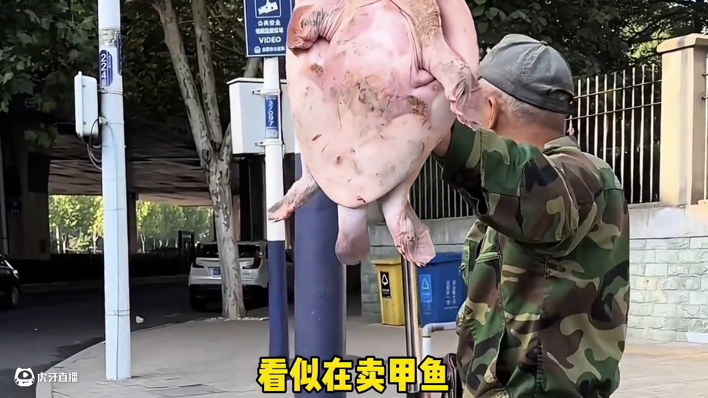 路边买甲鱼的千万不要去买…#路边甲鱼 #骗局