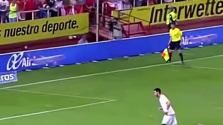 无敌鲨鱼内格雷多