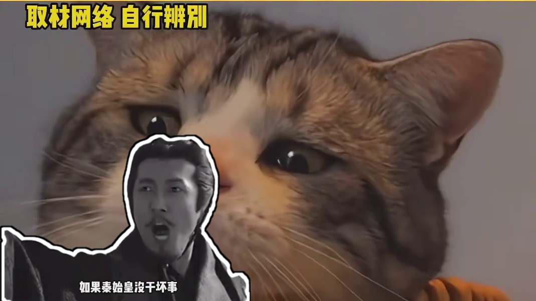 真的不能跳到他嘴里吗