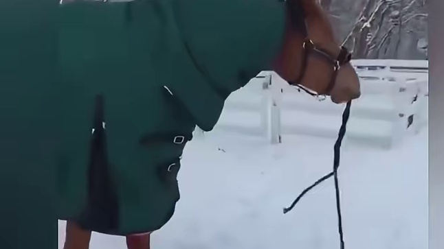 好治愈看得人心暖暖的