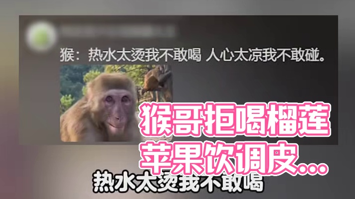 猴哥：我脏了，以后你随便别来了