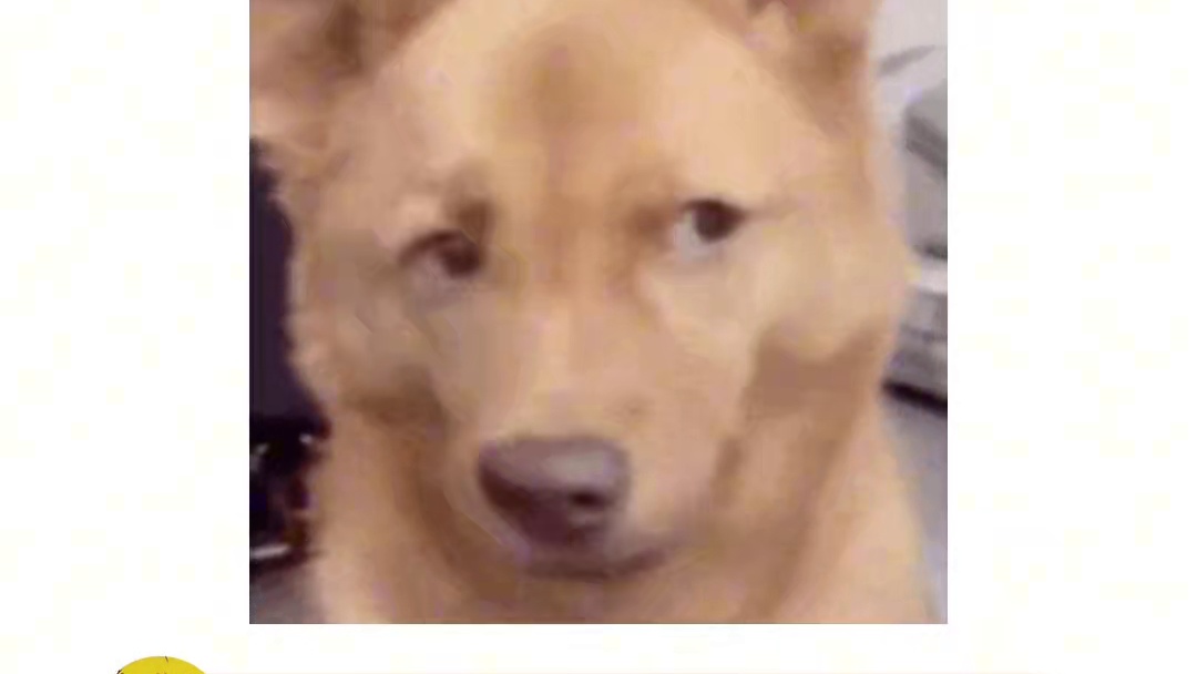 周令飞：我真的很讨厌一些刻板印象！！！ #周令飞 #鲁迅先生 #名人故事