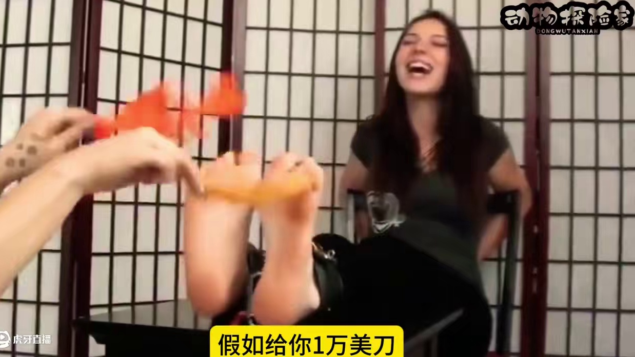 陌陌找对象又快又靠谱!快来评论区看看吧
挠痒痒挑战赛#看完不笑算我输 #外国人真会玩