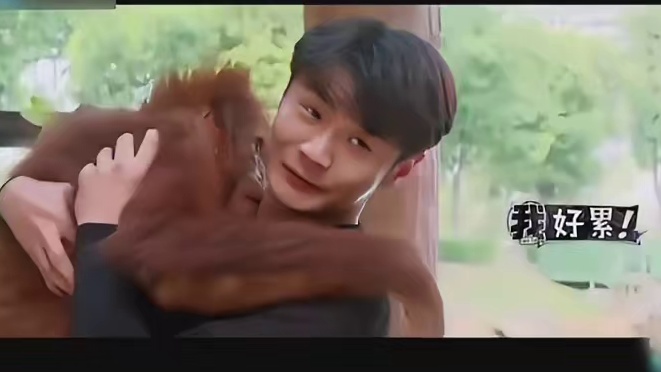 李荣浩  魅力全点在猩猩身上了吗，好像挂件一样挂在李荣浩的身上舍不得撒手～