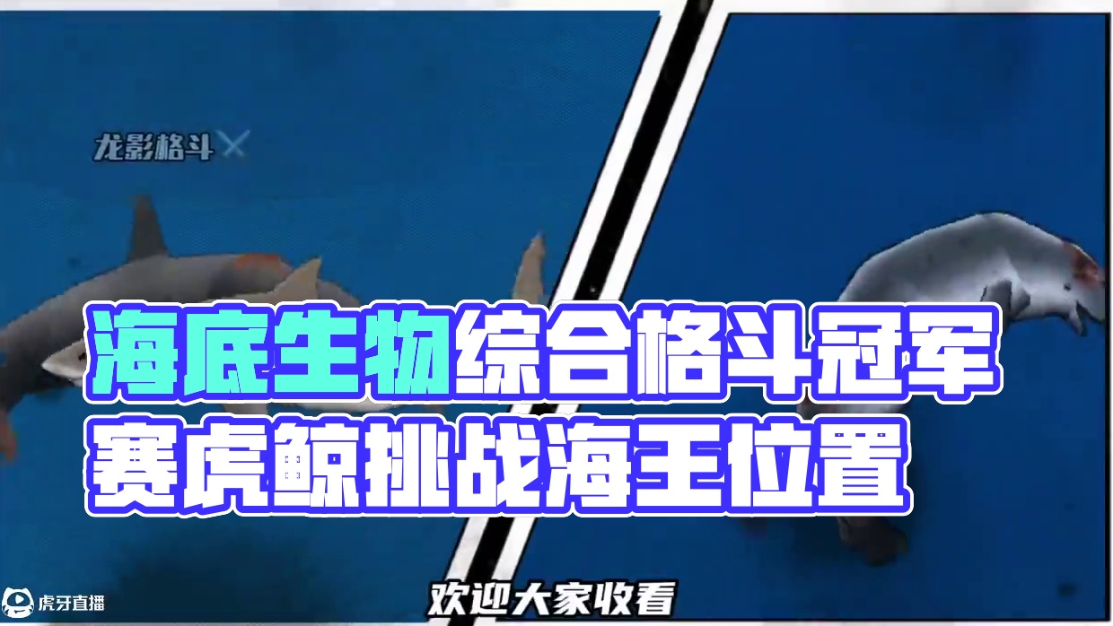 #海洋生物 #动物世界 #动物综合格斗 #龙影格斗 #虎鲸 为了测出谁才是除了鲸鱼之外，战斗力最强的