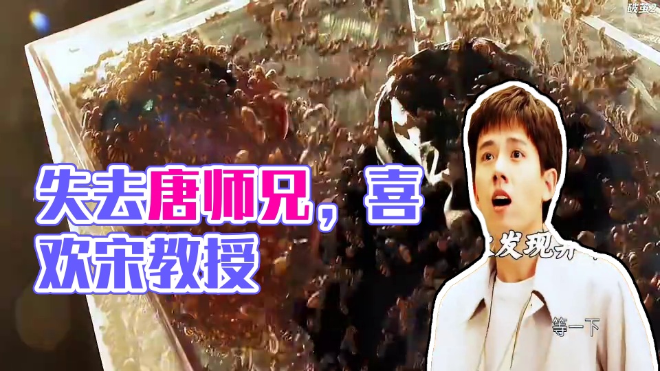 我知道你是真的爱我，所以也要让你尝尝失去所爱之人的痛苦