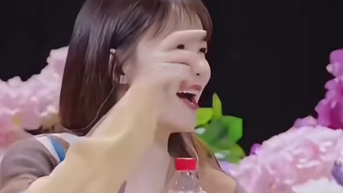 吴宣仪  把秦海璐  叫成海勤姐，简直大型社死现场！