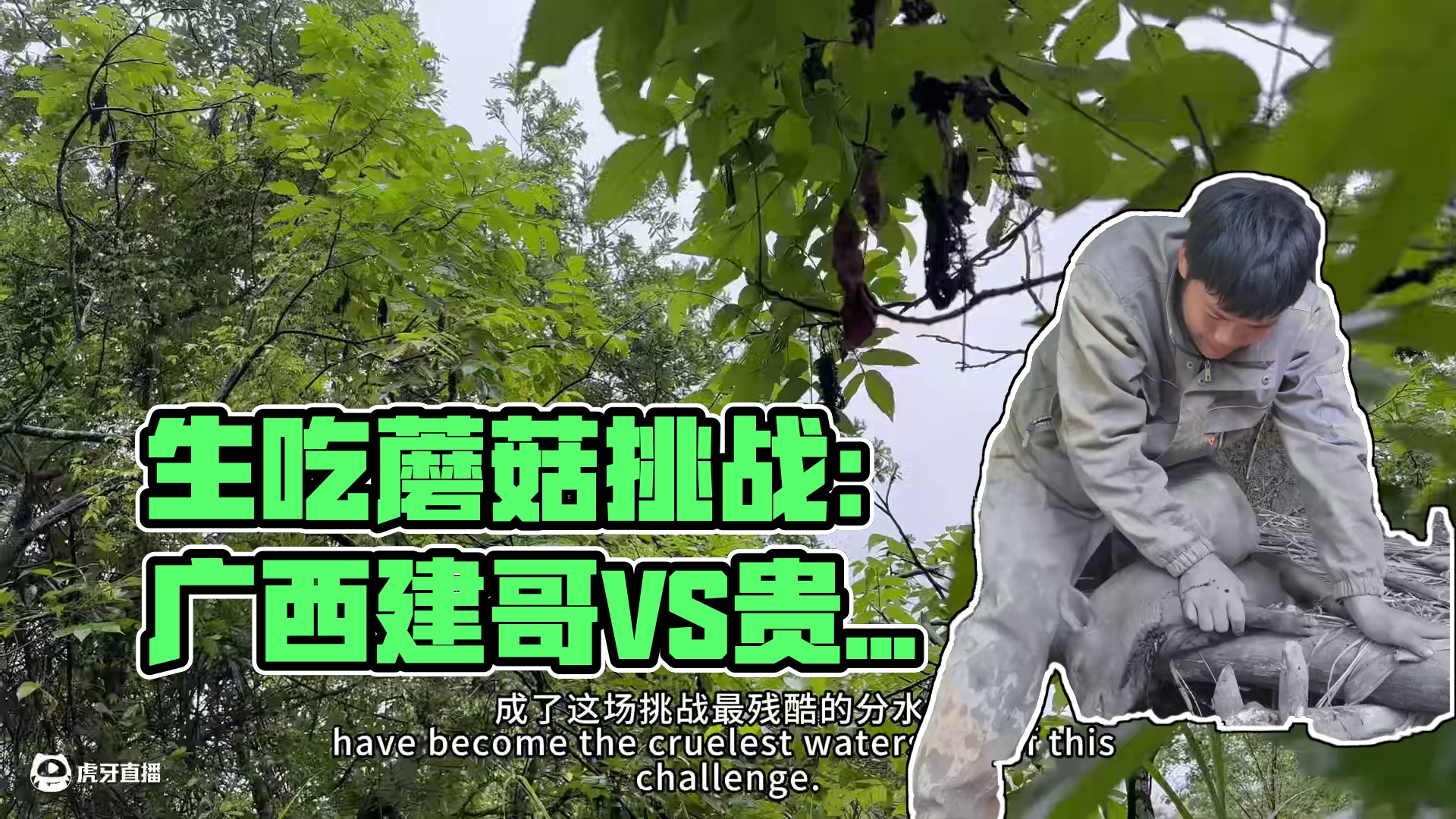 中国•印江缠溪杯，荒野生存挑战赛第26天，挑战生吃蘑菇，节目组启动应急预案！