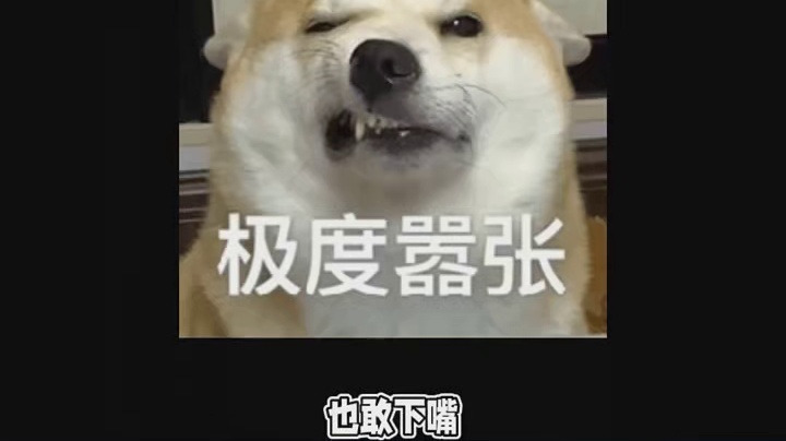 鸟届平头哥平头哥伯劳鸟