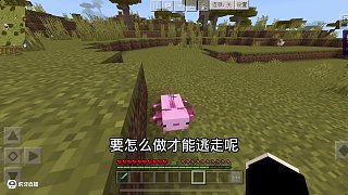 當“朵拉”的作者來玩我的世界