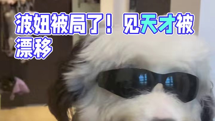 波妞：完犊子了！被做局了#修狗 #万物可爱计划 #萌宠版我不是天才吗 #狗狗的心思都写在脸上了