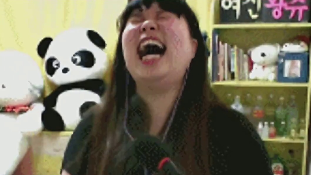 一代人有一代人的燕子