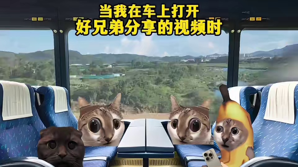 当我在车上打开好兄弟分享的视频时 #搞笑 #万万想不到 #社死 #0帧起手