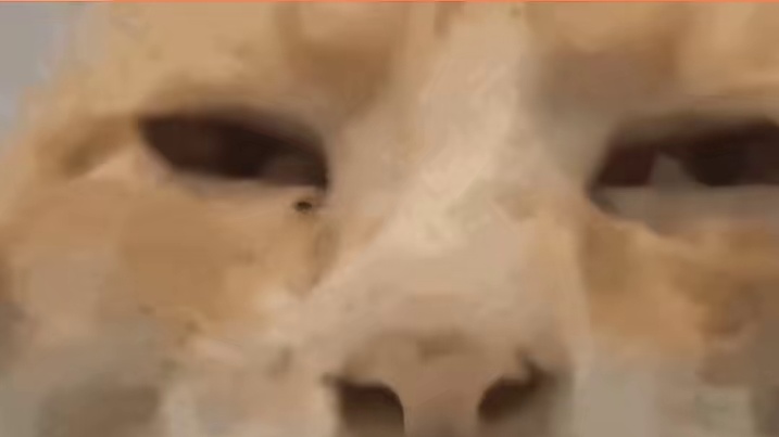 怎么有这么至屎不渝的爱情