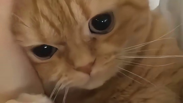 像极了十年前听见下课铃的我