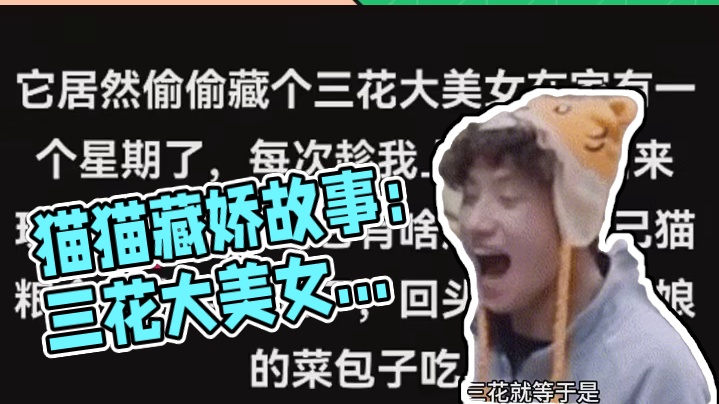 猫猫都学会金屋藏娇了