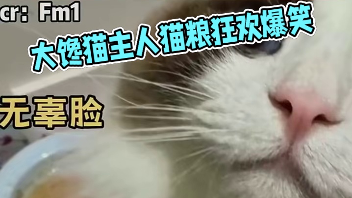 命运捉弄大馋猫主人