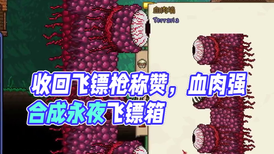 #泰拉瑞亚 第五期|我收回当初说飞镖枪很厉害这句话...这肉山差点没给我打成小饼饼...#模组 #更