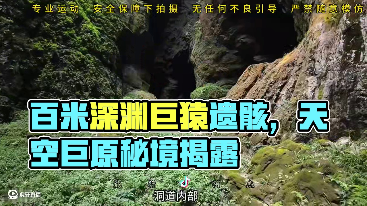 百米深渊之下科考探索发现，竟然存在巨猿遗骸 如果没有探索者，深埋地下的奇风异景将永远不被外界人知晓！