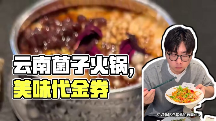 58代100！云南菌子火锅也太鲜美了！ 菌汤还要取样！#菌彩 #上海美食 #上海旅游 #省饭课代表 