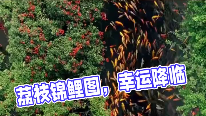 这幅“荔枝锦鲤图”太美了！见者好运！