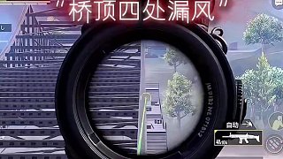 #和平精英