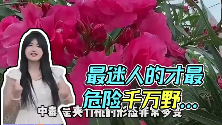 最迷人的才最危险