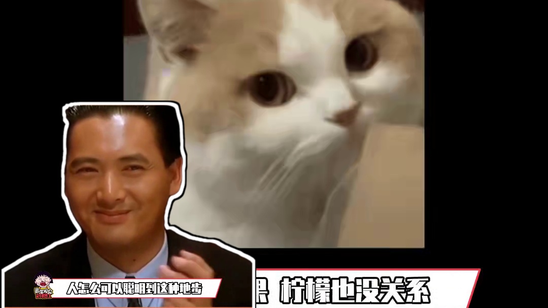 人怎么可以聪明到这种地步 #邪修  #美食  #百香果柠檬鸡爪